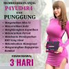 LARGE BOX (SABAH & SARAWAK) - JAMU MONTOXX🔥CURVELADY PLUS 100% ORIGINAL HQ - Image 4